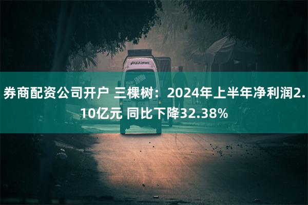 券商配资公司开户 三棵树：2024年上半年净利润2.10亿元 同比下降32.38%