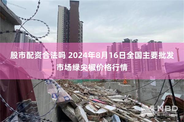 股市配资合法吗 2024年8月16日全国主要批发市场绿尖椒价格行情