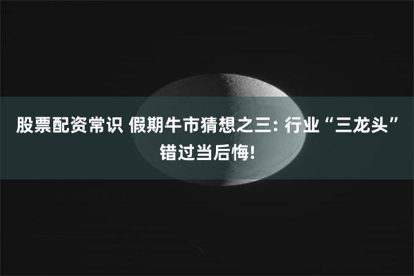 股票配资常识 假期牛市猜想之三: 行业“三龙头”错过当后悔!