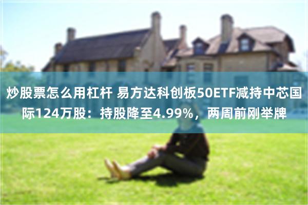 炒股票怎么用杠杆 易方达科创板50ETF减持中芯国际124万股：持股降至4.99%，两周前刚举牌