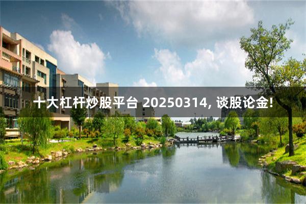 十大杠杆炒股平台 20250314, 谈股论金!